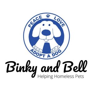 Team Page: Binky and Bell